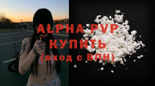 прущий лед Гусев