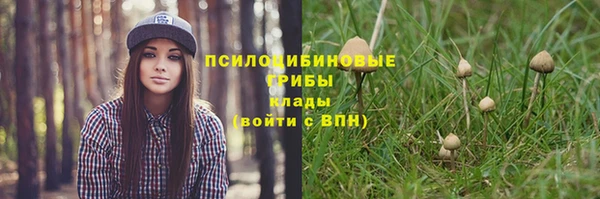 прущий лед Гусев